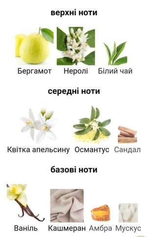 Gritti Violet Venom (схожий на HFC Devil's Intrigue) Gritti Violet Venom (схожий на HFC Devil's Intrigue)