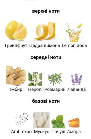 Kajal Kajal III Kajal Kajal III