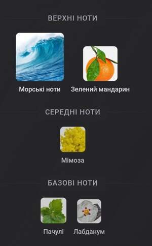 Armani Acqua di Gio Profondo Parfum