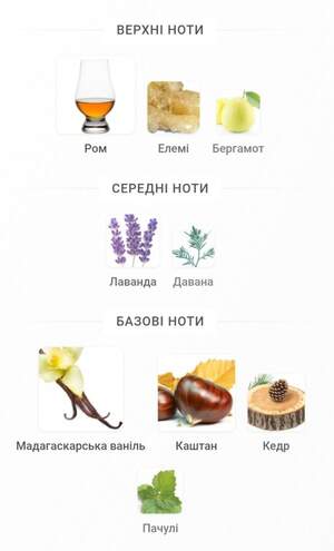 Armani Stronger With You Absolutely