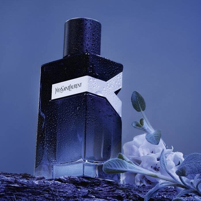 Yves Saint Laurent Y Yves Saint Laurent Y
