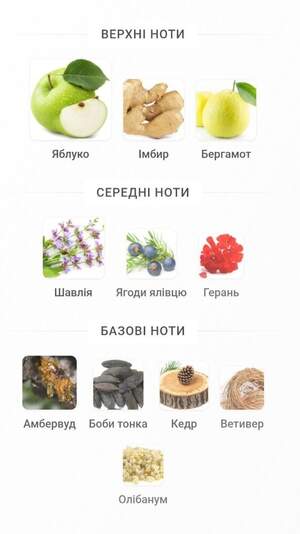 Yves Saint Laurent Y Yves Saint Laurent Y